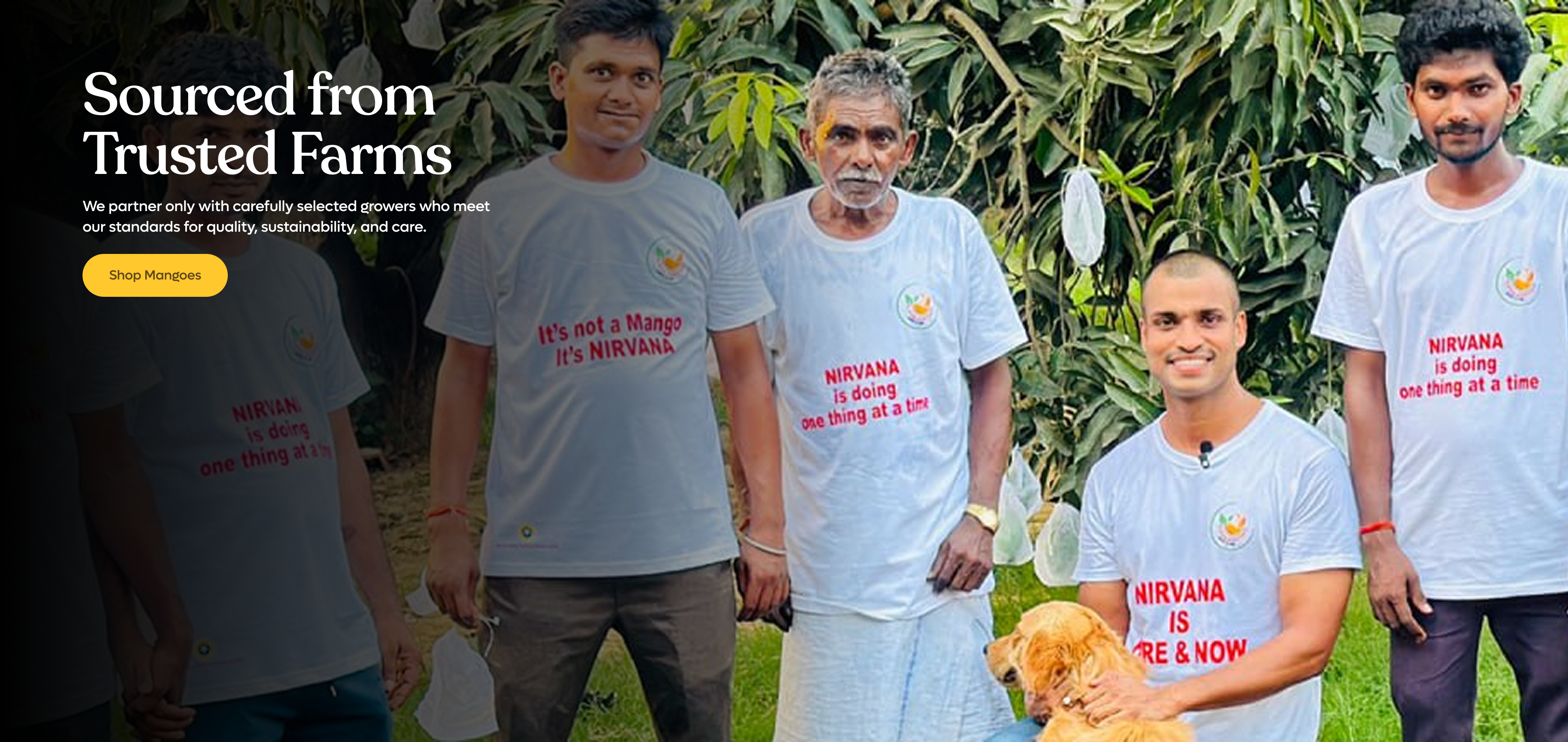 slider image slider_item_LgTApM