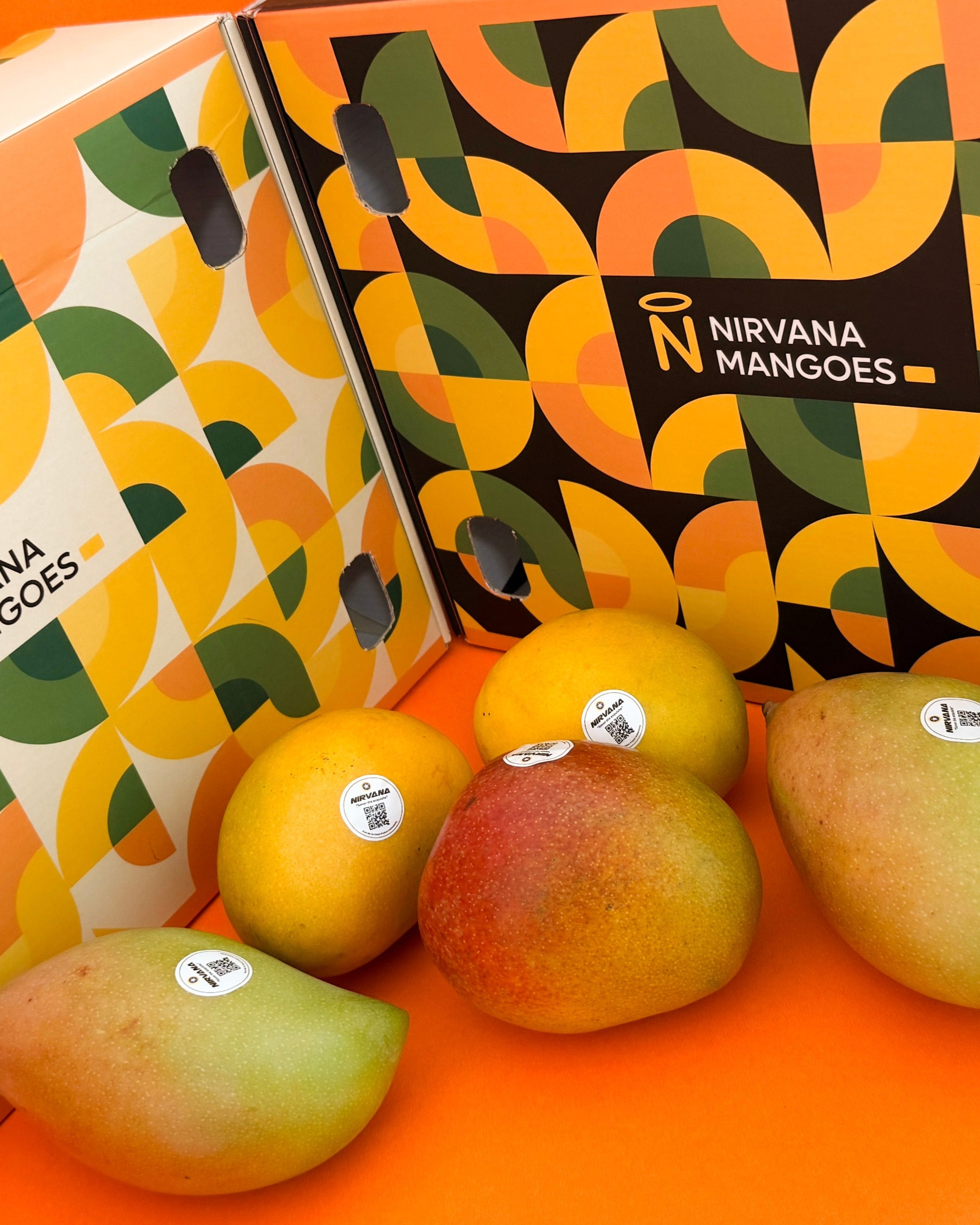 Assortment Box ( 7 Different Varieties )